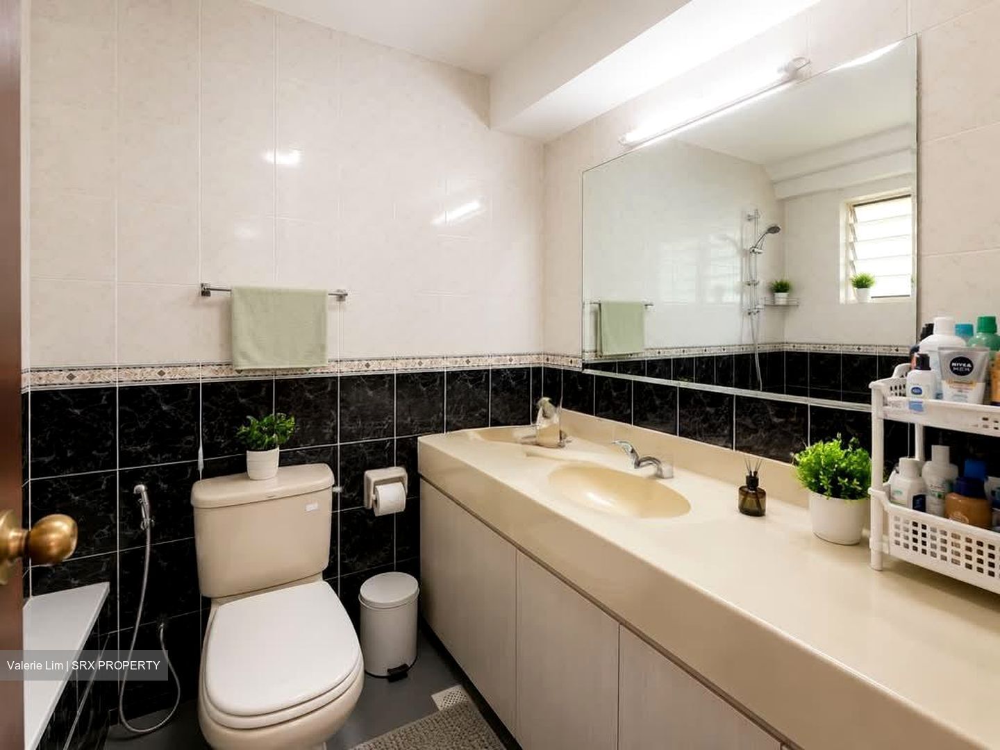 Melville Park (D18), Condominium #581258141
